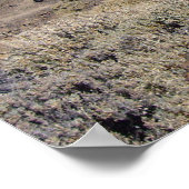 エルテイデカスタムポスター ポスター (角)