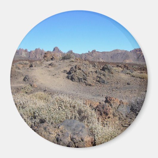 エルテイドカスタム磁石 マグネット (正面)