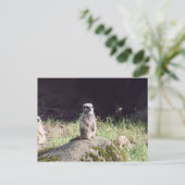 エルドマン ポストカード (スタンド正面)