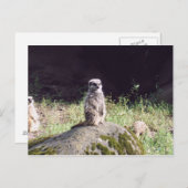 エルドマン ポストカード (正面/裏面)