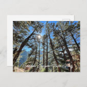 エルドラドキャニオンCOポストカード ポストカード (正面/裏面)