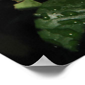 エルハイブリッドティーバラ152 ポスター (角)