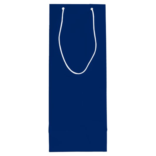 エルパソ市旗テキサス州ワイン抱き枕 ワインギフトバッグ (裏面)