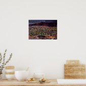 エルパソ、テキサス州・ビルツェイナイト1940 ポスター (キッチン)