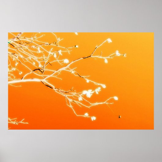 エルパソ ポスター (正面)