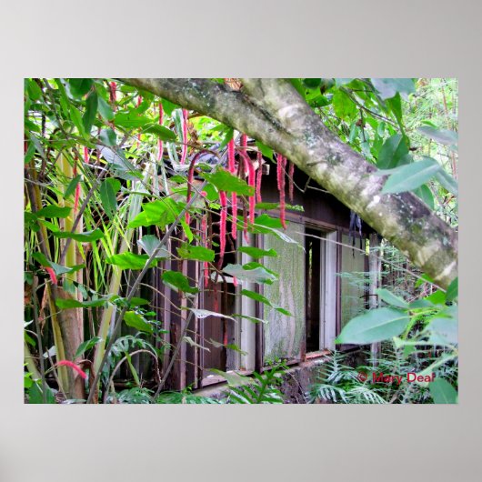 エルビスプレスリーバンガロー ポスター (正面)