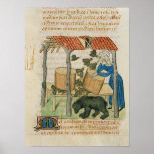 エルビス山脈 ポスター