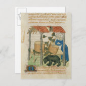 エルビス山脈 ポストカード (正面/裏面)