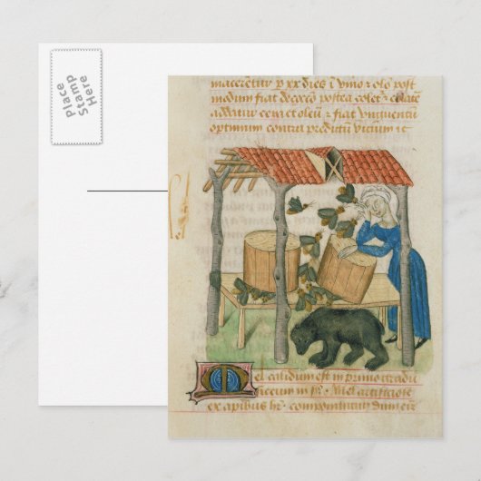 エルビス山脈 ポストカード (正面/裏面)