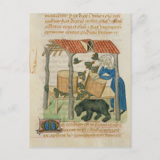 エルビス山脈 ポストカード (正面)