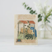 エルビス山脈 ポストカード (スタンド正面)