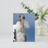 エルビス – ザ・ウッド・ストーク・ポストカード ポストカード (スタンド正面)