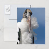 エルビス – ザ・ウッド・ストーク・ポストカード ポストカード (正面/裏面)