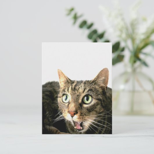 エルビス ポストカード (スタンド正面)