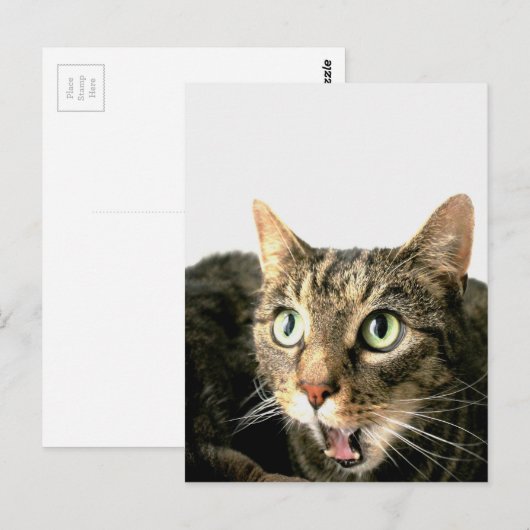 エルビス ポストカード (正面/裏面)