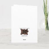 エルフの帽子をかぶった馬の折りたたみ式ホリデーカード シーズンカード (裏面)