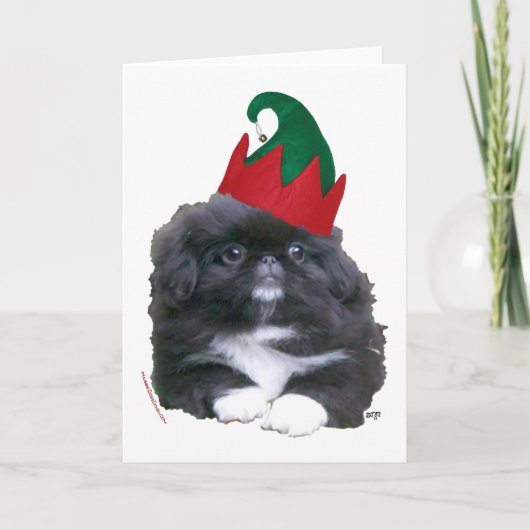 エルフィンペキニーズの子犬のクリスマス シーズンカード (正面)