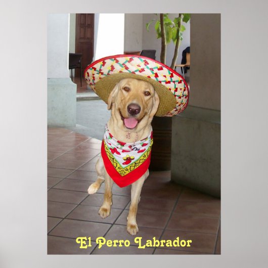 エルペロ ポスター (正面)