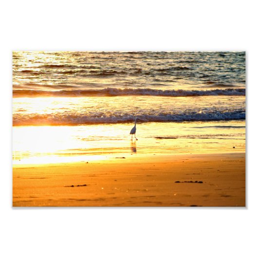 エルポルトマンハッタンビーチ フォトプリント            (正面)