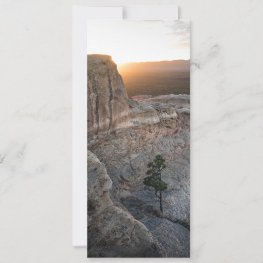 エルマルパイサンドストーンブラフス カード (正面)