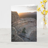 エルマルパイサンドストーンブラフス カード (黄色い花)