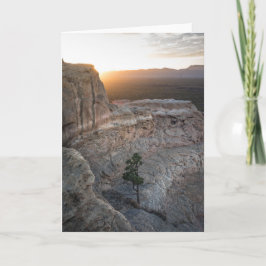 エルマルパイサンドストーンブラフス カード