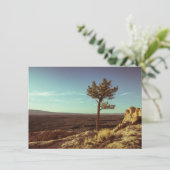 エルマルパイス国家記念碑 カード (スタンド正面)