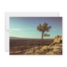 エルマルパイス国家記念碑