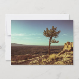 エルマルパイス国家記念碑 カード