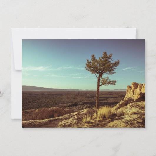 エルマルパイス国家記念碑 カード (正面)