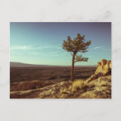 エルマルパイス国家記念碑 ポストカード (正面)