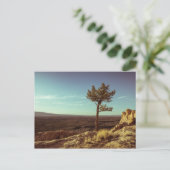 エルマルパイス国家記念碑 ポストカード (スタンド正面)