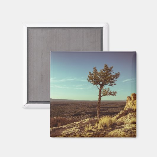 エルマルパイス国家記念碑 マグネット (正面/裏面)