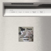 エルミタージングマグネット – ファッジ マグネット (インサイチュ (食洗機))