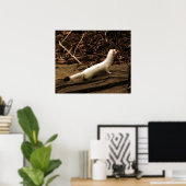 エルミン ポスター (ホームオフィス)