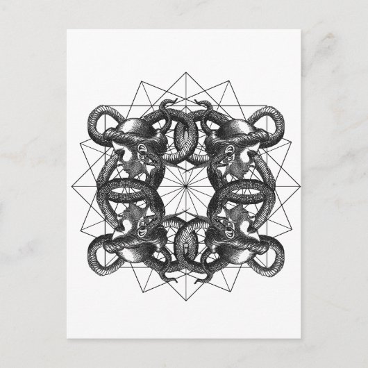 エルメティカ·モデラ-メドゥーサ·インターネット インビテーションポストカード (正面)