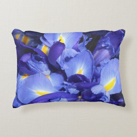 エルメンガルデ アクセントクッション (正面)