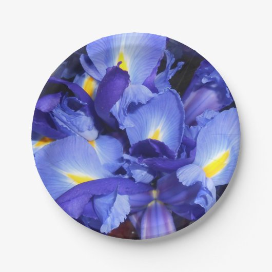 エルメンガルデ ペーパープレート (正面)