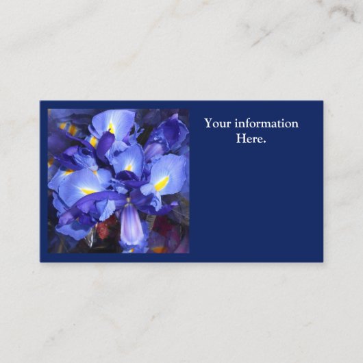 エルメンガルデ 名刺 (正面)