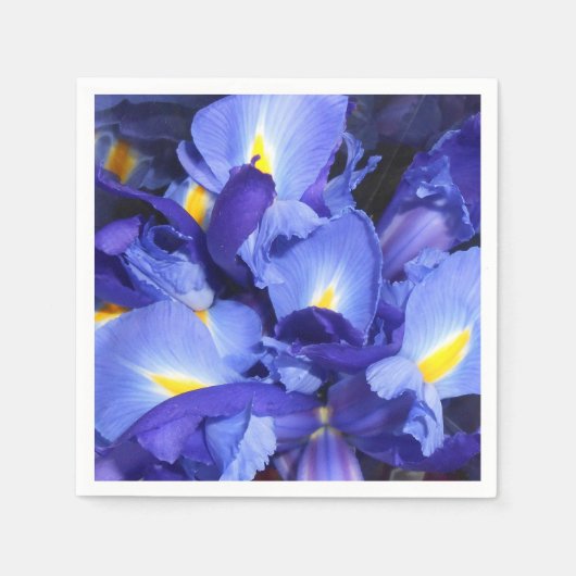 エルメンガルド スタンダードカクテルナプキン (正面)