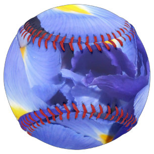 エルメンガルド ソフトボール