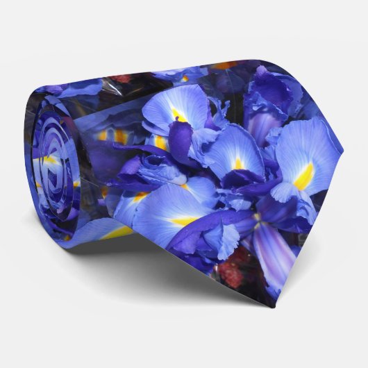 エルメンガルド ネクタイ (ロール)