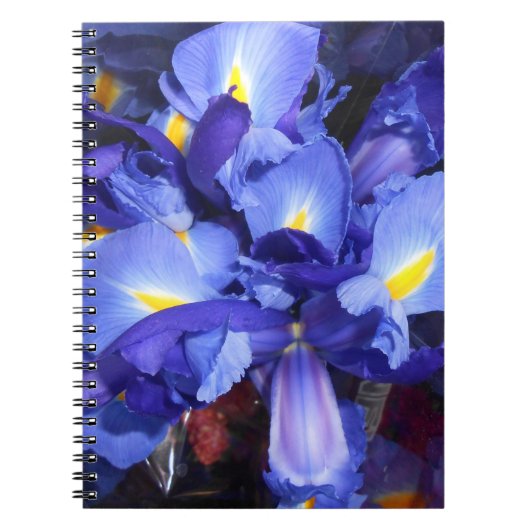 エルメンガルド ノートブック (正面)