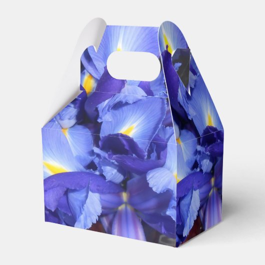 エルメンガルド フェイバーボックス (正面サイド)