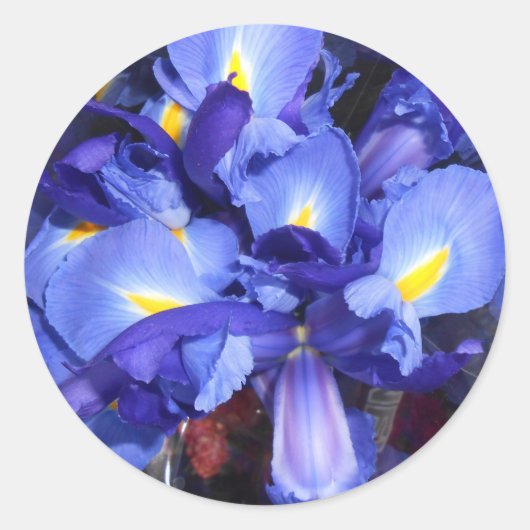 エルメンガルド ラウンドシール (正面)