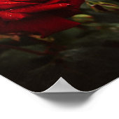 エルモソポスターデロサスロハス ポスター (角)