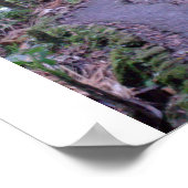 エルユンケ国有林 ポスター (角)