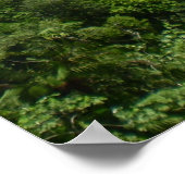 エルユンケ国有林 ポスター (角)