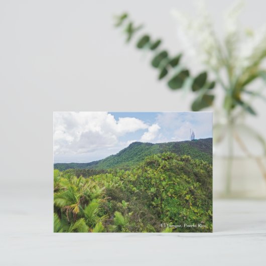 エルユンケ熱帯雨林と通信タワーポスト ポストカード (スタンド正面)