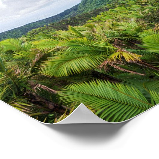 エルユンケ熱帯雨林と通信タワー ポスター (角)